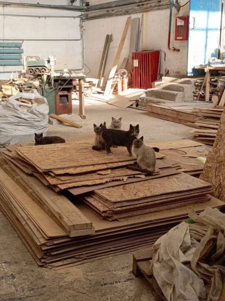 Не ищите здесь смысл