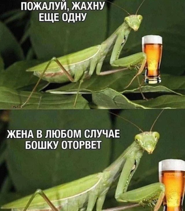 Абстрактные мемы, чтобы не думать и просто посмеяться