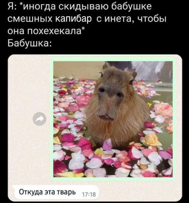 Мемы для поднятия боевого духа