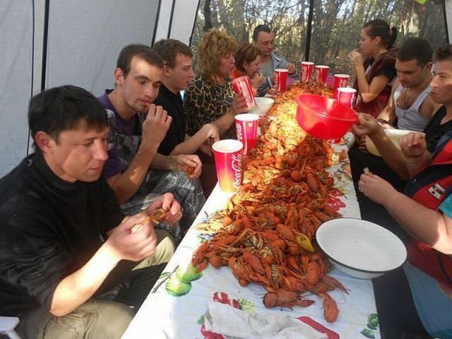 Подборка картинок. Вечерний выпуск