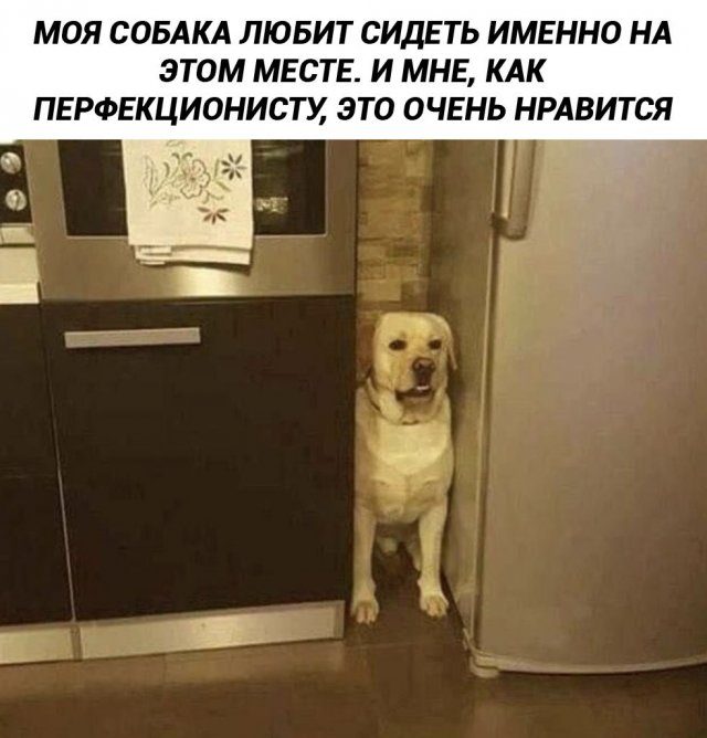 Приколы