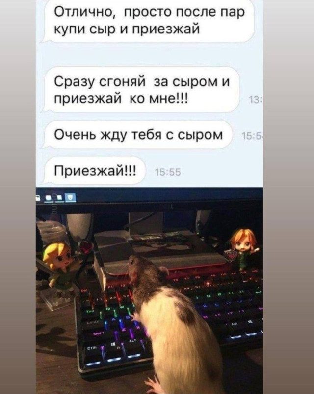 Чуть-чуть приколов