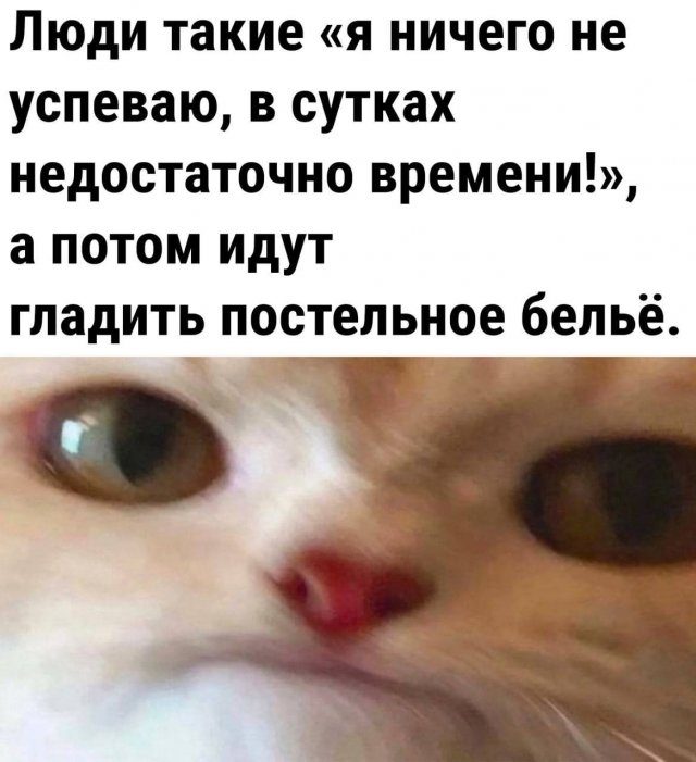 Приколы