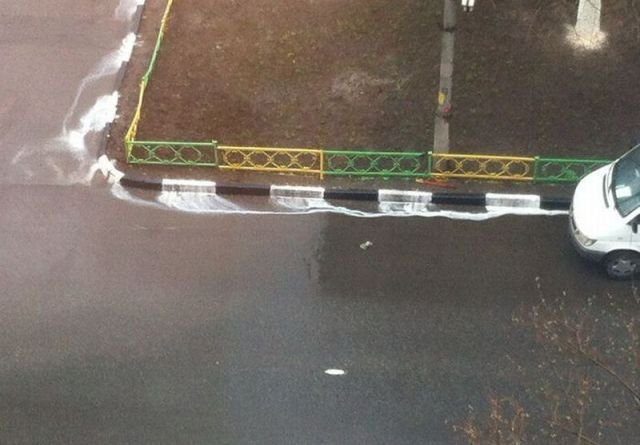 Подборка картинок. Вечерний выпуск