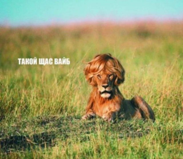 Подборка приколов