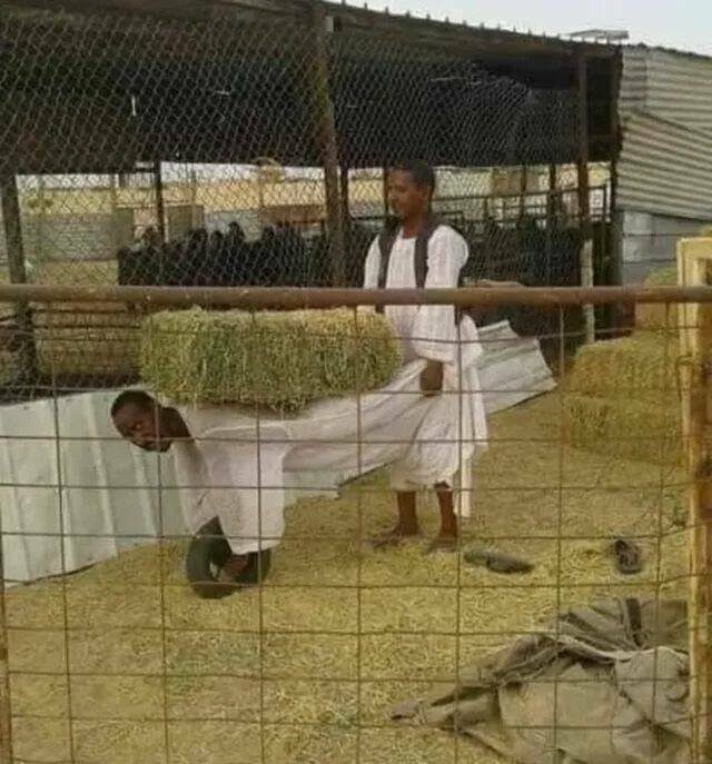 Подборка картинок. Вечерний выпуск