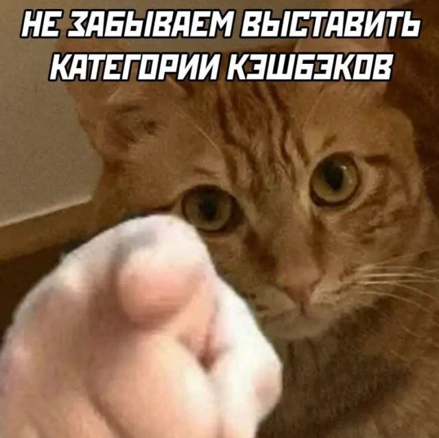 Скрины из соцсетей