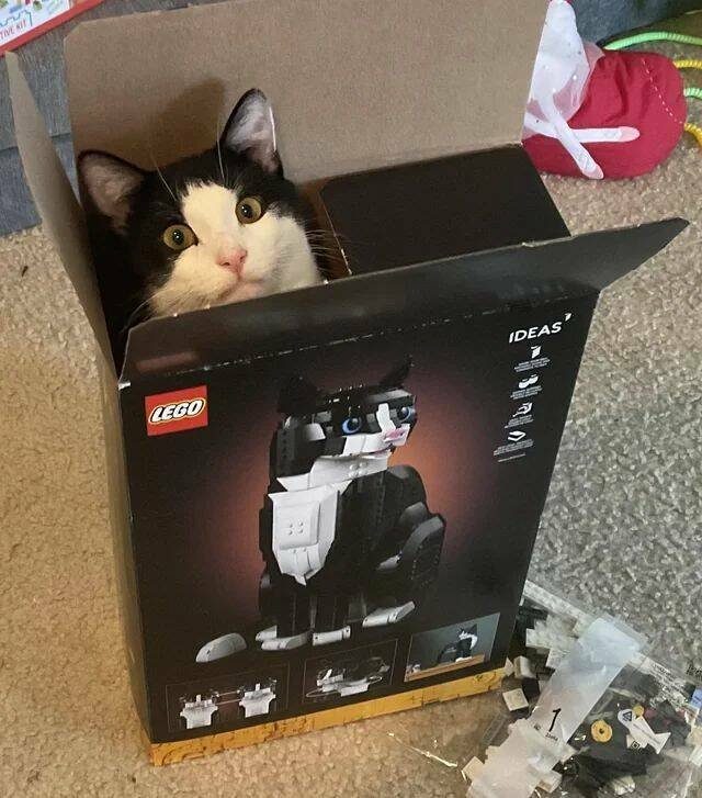 Подборка картинок. Вечерний выпуск