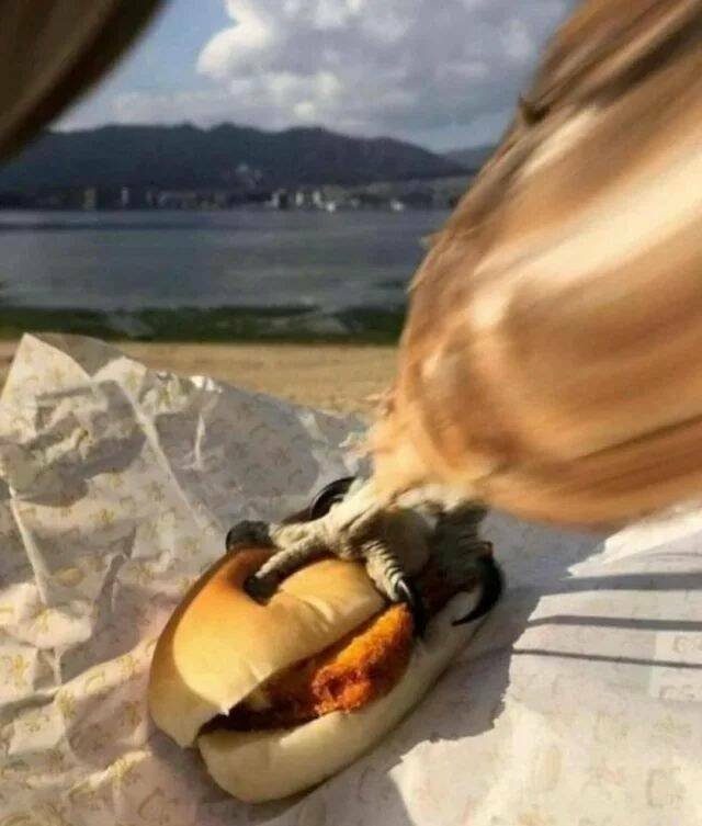 Подборка картинок. Вечерний выпуск