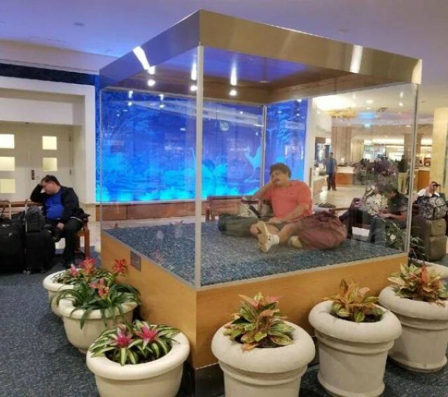 Подборка картинок. Вечерний выпуск