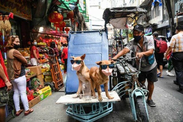 Подборка картинок. Вечерний выпуск