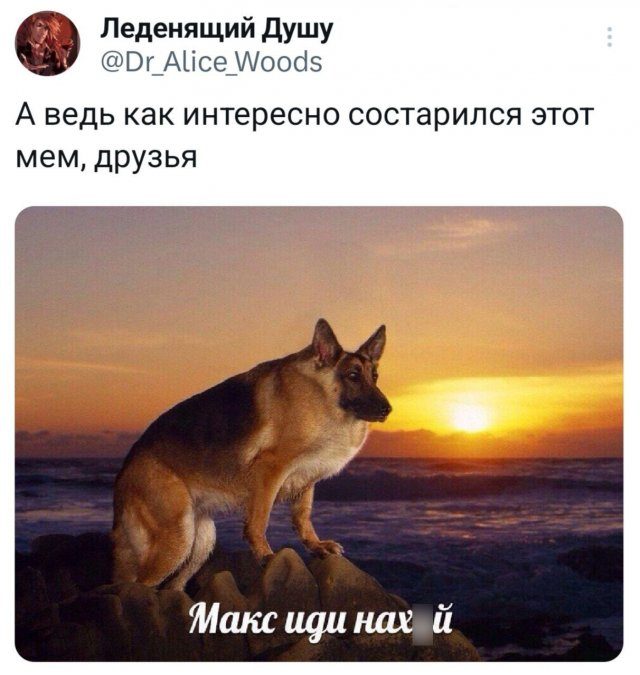 Подборка забавных твитов обо всем