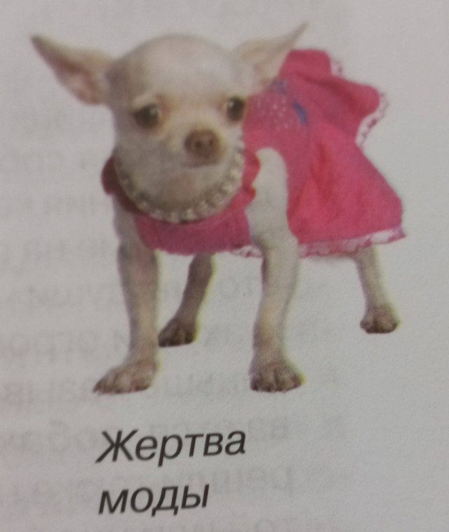 Немного мемов на ночь для хороших снов