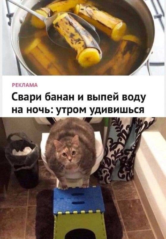 Немного мемов на ночь для хороших снов