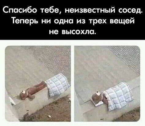 Марафон мемов для приятных выходных