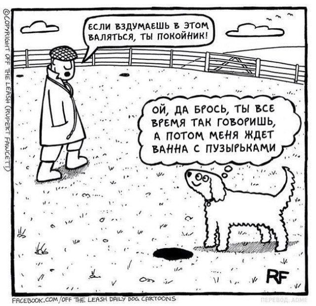 Марафон мемов для приятных выходных