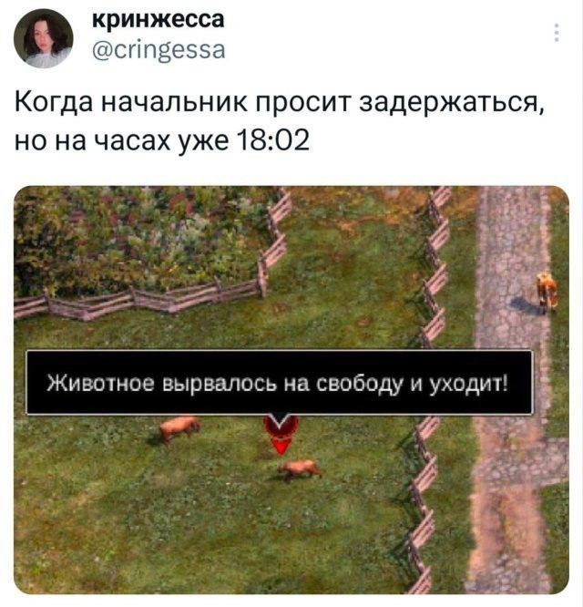 Мемы на ночь, чтобы сны были веселее :)