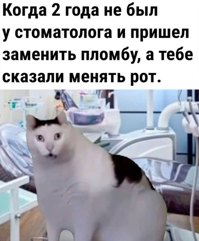 Мемы на ночь, чтобы сны были веселее :)