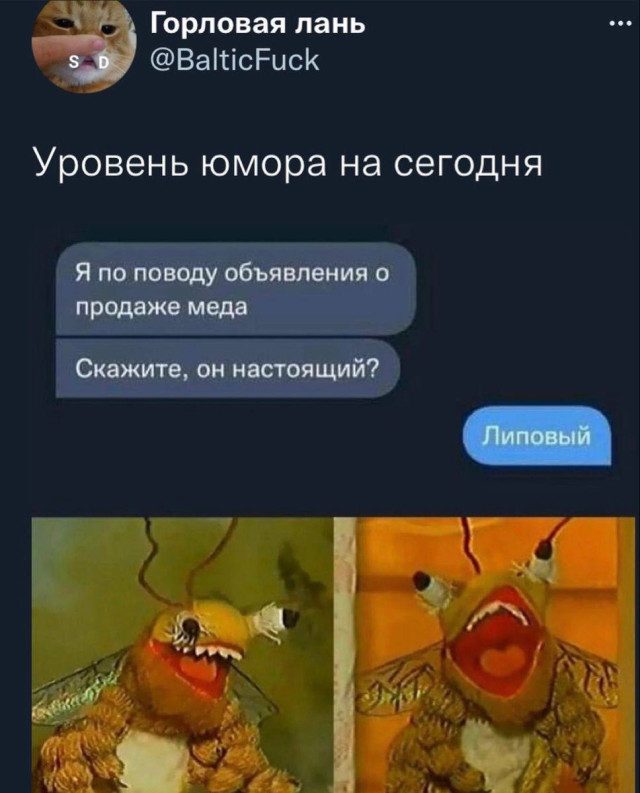 Подборка мемов для отдыха вечером