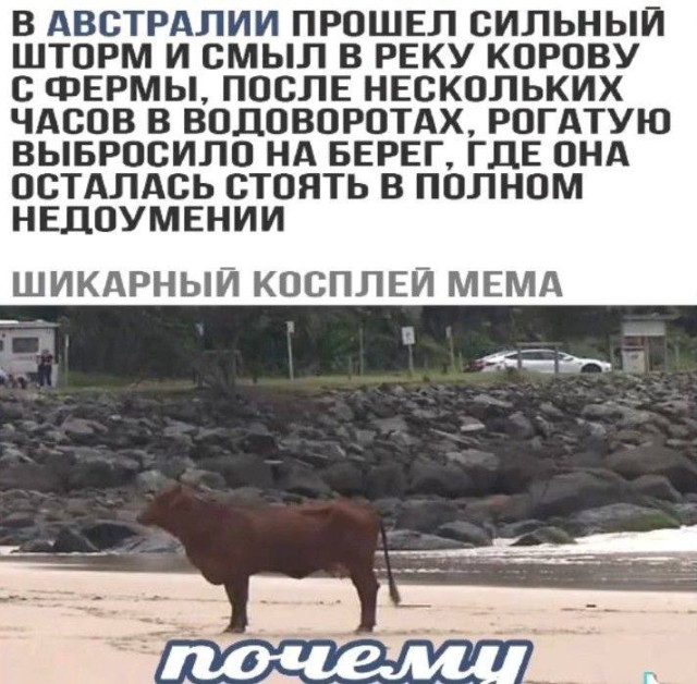 Ночные мемы обо всем на свете