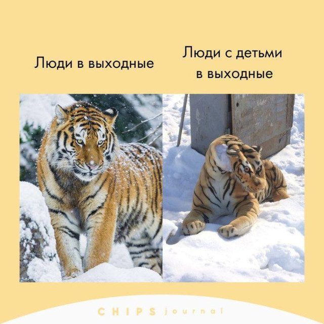 Забавные и милые мемы со зверюшками