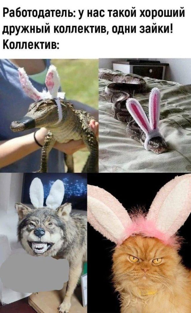 Готовимся к новой рабочей неделе с помощью смешных картинок