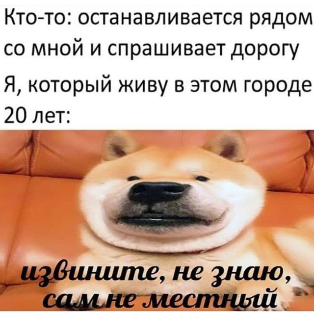 Ночные мемы обо всем на свете