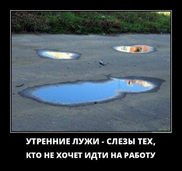 Традиционные и самые смешные мемы