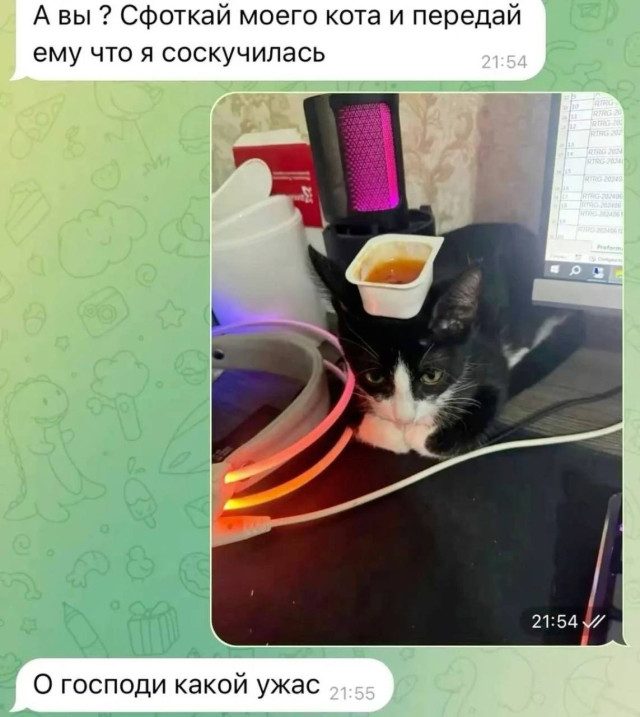 Мемы для хорошего и расслабленного вечера