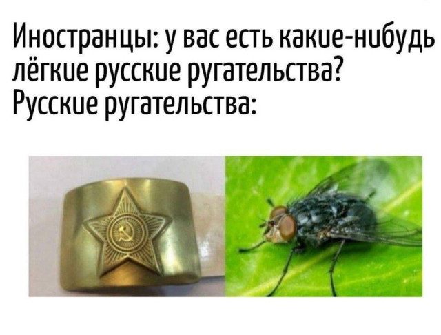 Традиционные и самые смешные мемы