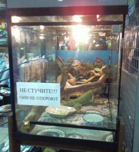 Традиционные и самые смешные мемы