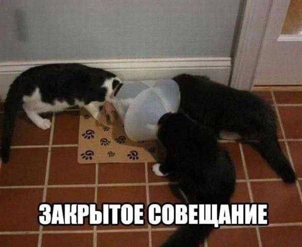 Чуть-чуть мемов, чтобы наши читатели не скучали!