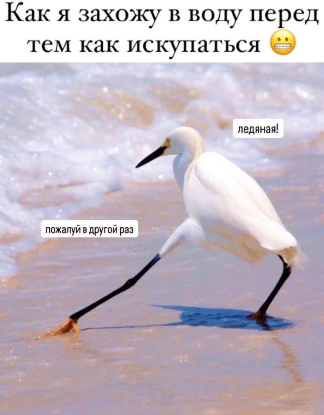 Мемы про отдых, согревающие сердце холодной зимой