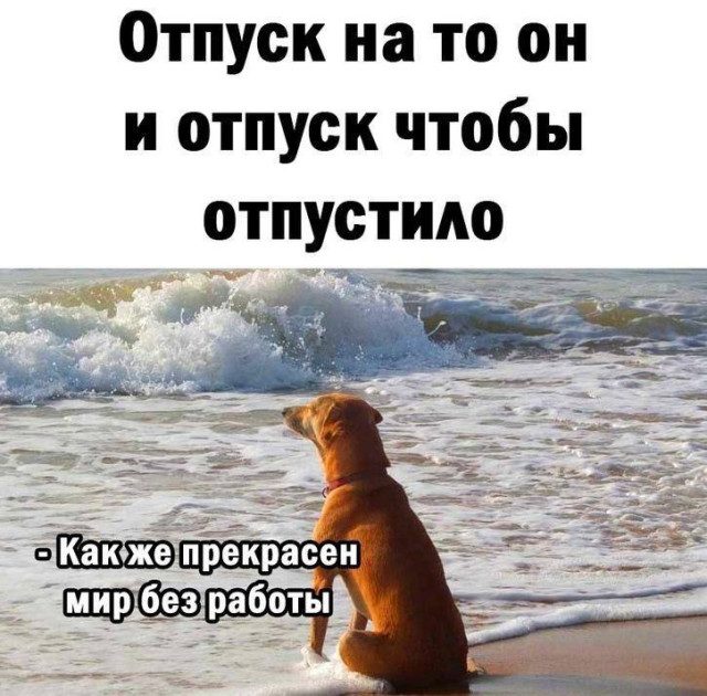 Мемы про отдых, согревающие сердце холодной зимой