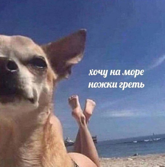 Мемы про отдых, согревающие сердце холодной зимой