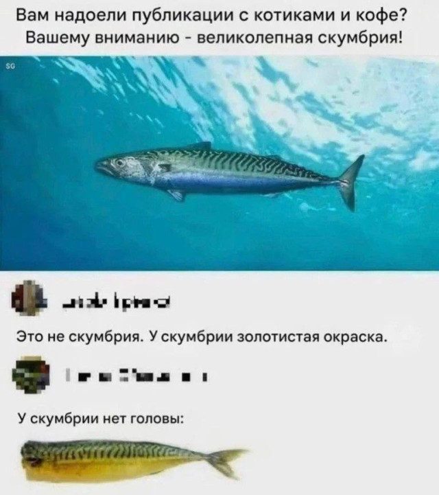Новая подборка абсурдного юмора