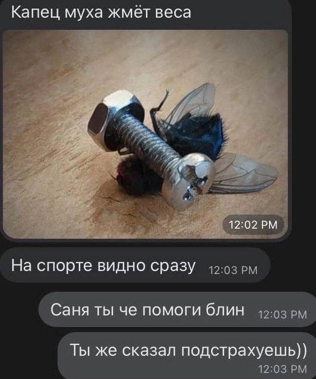 Новая подборка абсурдного юмора