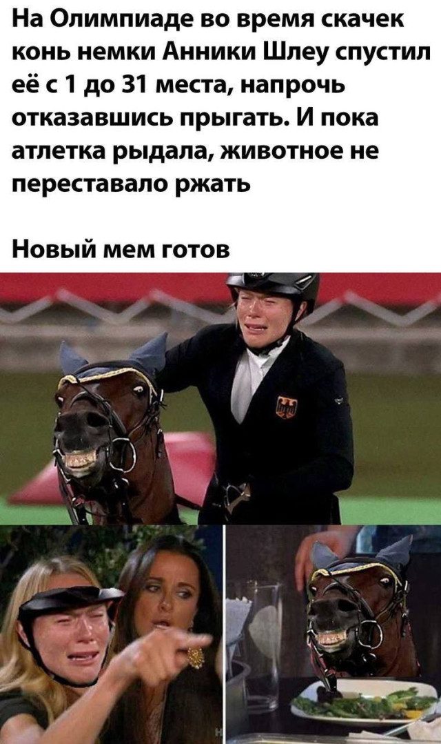 Новая подборка абсурдного юмора