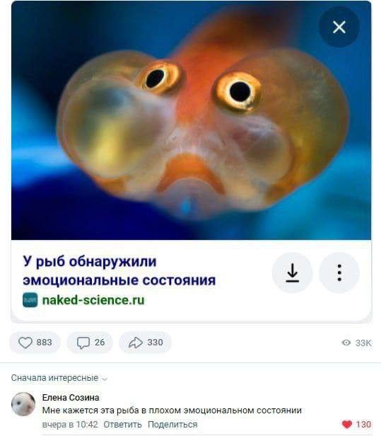 Новая подборка абсурдного юмора