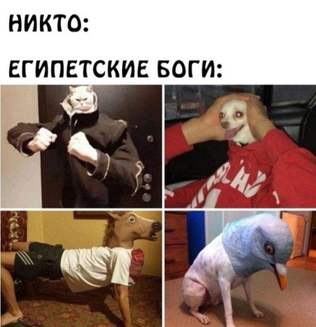 Лучшие мемы для наших читателей