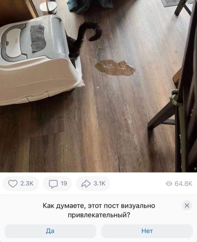 Коллекция мемов, поднимающих настроение