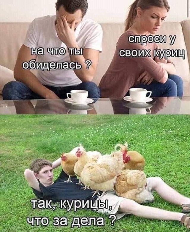 Коллекция мемов, поднимающих настроение