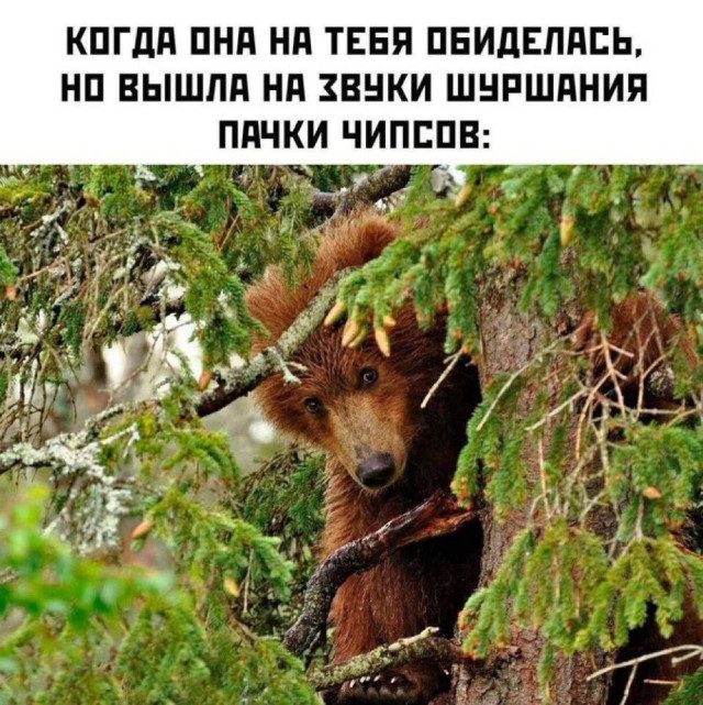 Самые лучшие мемы для лучших читателей!