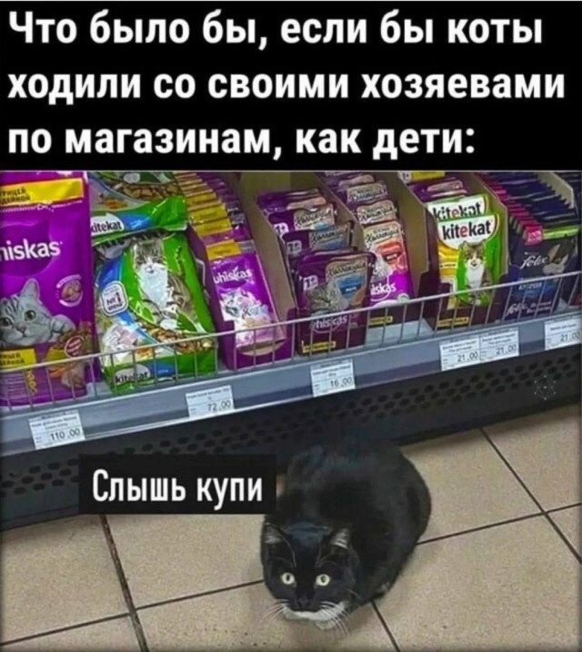 Дополнительная коллекция мемов