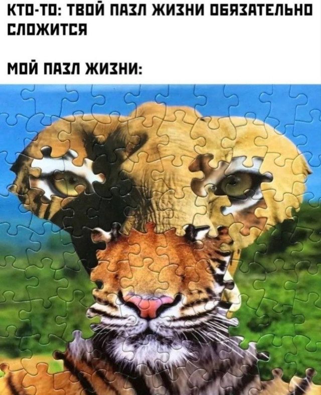 Напоминаем о необходимости посмотреть мемы