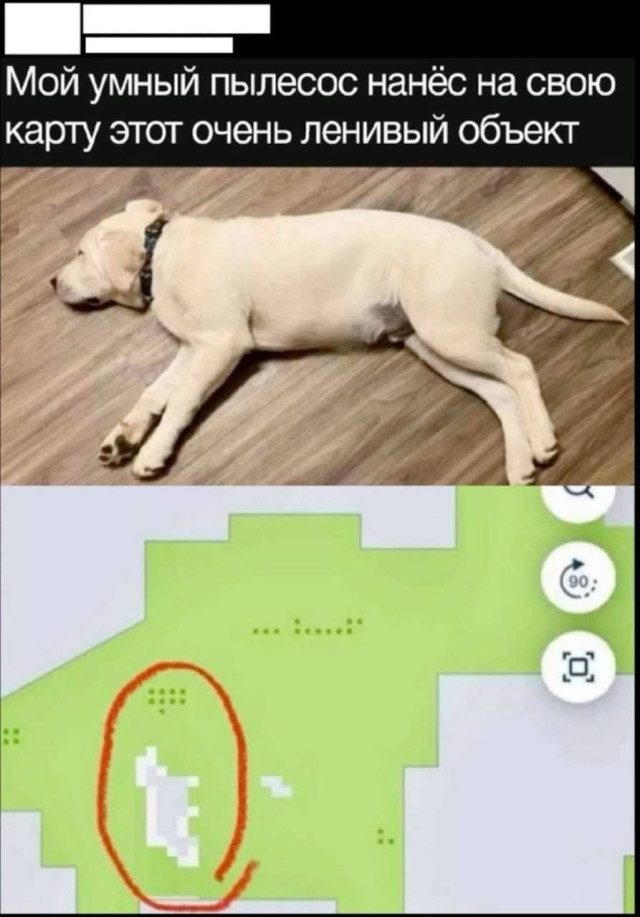 Напоминаем о необходимости посмотреть мемы