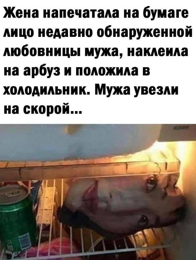 Прикольные картинки о жизни девушек