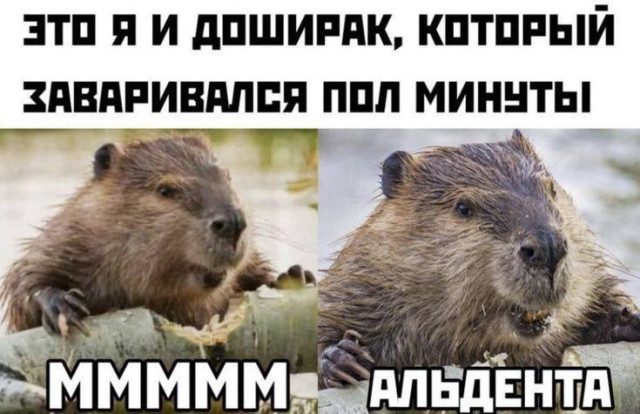 Просто новые мемы обо всем на свете :)