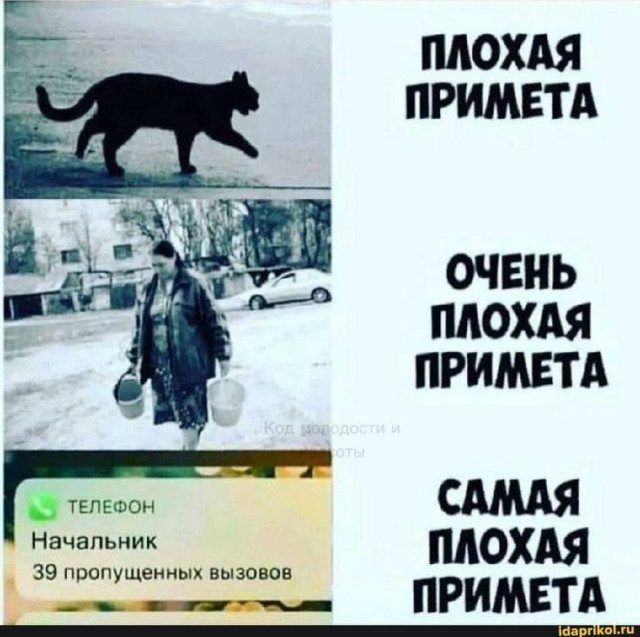 Ночная подборка мемов о повседневности и не только