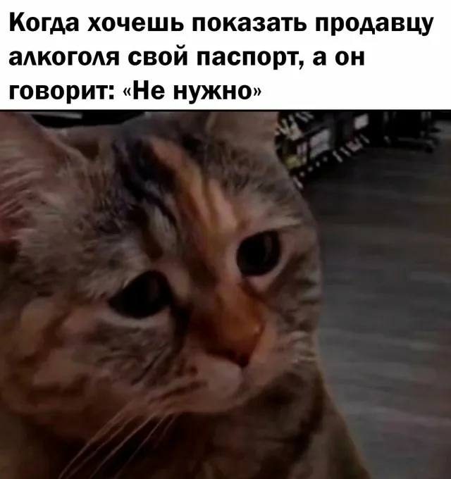 Мемы о сложностях взрослой жизни